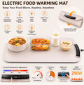 Electric Heating Plate - Portable, Easy, and Convienent!